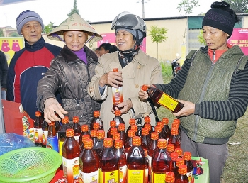 Hà Nội: Đưa hàng Tết về nông thôn