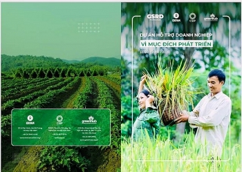 Hiệu quả từ dự án Hỗ trợ doanh nghiệp vì mục đích phát triển