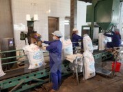 Giá đường tăng nhẹ