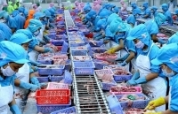 Doanh nghiệp thủy sản đề xuất giải pháp về tài chính vượt qua Covid- 19