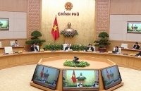 Kiên quyết đưa giá thịt lợn xuống dưới 60.000 đồng/kg