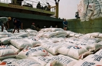 Xuất khẩu gạo: Bám sát diễn biến thị trường, cần có kế hoạch phù hợp