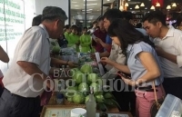 Kết nối tiêu thụ hàng hóa nông sản vào hệ thống siêu thị Big C Việt Nam