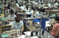 Hà Nội: Đồng bộ các giải pháp phát triển sản xuất kinh doanh, đảm bảo an sinh xã hội