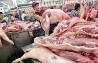 Cần giải pháp mạnh hơn để kiểm soát giá thịt lợn