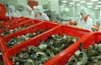 Xuất khẩu tôm sang Mỹ 3 tháng đầu năm tăng 18,2%
