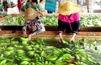 Xuất khẩu nông lâm thủy sản 4 tháng đầu năm giảm 4,9%