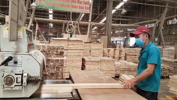 Đơn hàng xuất khẩu gỗ sang EU