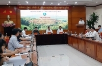 Tận dụng tốt các cơ hội về thị trường khôi phục chế biến, xuất khẩu gỗ