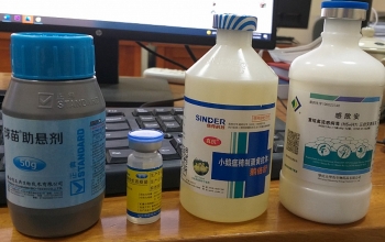 Vắc xin thú y nhập lậu tràn lan, Bộ NN&PTNT đề nghị xử lý nghiêm