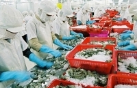 Xuất khẩu thủy sản 5 tháng năm 2019 giảm nhẹ