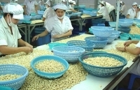 Xuất khẩu điều sẽ đối diện với rào cản mới
