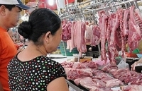 Nguồn cung thiếu hụt sẽ “đẩy” giá thịt lợn tăng trong thời gian tới