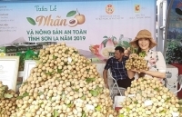 Đưa nhãn Sơn La đến với người tiêu dùng Thủ đô