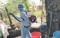 Hà Nội: Không chủ quan với dịch bệnh sốt xuất huyết