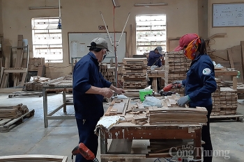 Xuất khẩu gỗ và sản phẩm gỗ sang thị trường Canada: Triển vọng tích cực