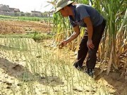 Cần xây dựng nhiều phương án ứng phó với biến đổi khí hậu