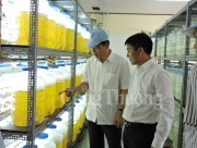 Hướng tới xây dựng thương hiệu cho tôm Việt