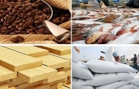 Xuất khẩu nông lâm thủy sản 8 tháng đầu năm đạt 25,7 tỷ USD