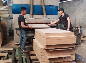 Ngành gỗ: Điểm sáng xuất khẩu