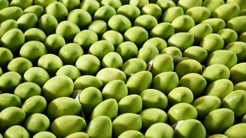 Chống gian lận mã số vùng trồng: Cần sự bắt tay của 4 nhà