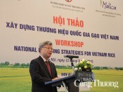 Xây dựng thương hiệu quốc gia gạo Việt: Doanh nghiệp đóng vai trò chủ thể
