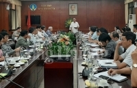 Bàn giải pháp thúc đẩy chế biến, xuất khẩu gỗ, lâm sản năm 2019