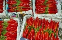 Malaysia dừng nhập khẩu ớt từ Việt Nam