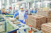Xuất khẩu gỗ: Cơ hội từ thị trường EU