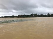 Quảng Ngãi cần theo dõi chặt chẽ diễn biến mưa, lũ