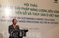 Xây dựng kịch bản tiết kiệm năng lượng hiệu quả cho ngành thủy sản và gỗ Việt