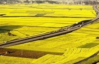 Cần một thị trường cho đất nông nghiệp