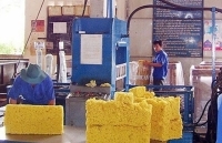 Xuất khẩu cao su 10 tháng năm 2018 tăng 13,4%