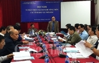 Phát triển ngành nghề nông thôn, làng nghề: Vẫn cần lực đẩy