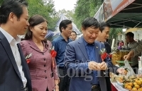 Rộn ràng Phiên chợ cam Hưng Yên năm 2019