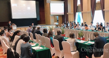 Hướng tới xây dựng thương hiệu ca cao Việt Nam độc đáo trên thị trường thế giới