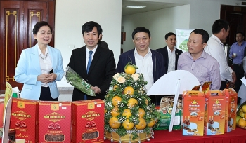 Trên 8,5 triệu hộ gia đình ký cam kết sản xuất, kinh doanh thực phẩm an toàn