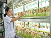 Đổi mới sáng tạo: Yếu tố sống còn của doanh nghiệp nông nghiệp