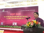 Sắp diễn ra Hội chợ nông đặc sản vùng miền, quà tặng Noel