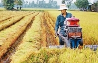 Liên kết “6 nhà” đẩy mạnh sản xuất nông nghiệp