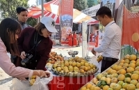 Quảng bá cam và nông sản tỉnh Hưng Yên đến với người tiêu dùng Thủ đô