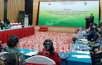 Sản xuất sạch hơn mang lại lợi ích cho cả bốn nhà