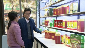 Sản xuất đông trùng hạ thảo bán tự nhiên: Mở hướng làm giàu nơi vùng biên