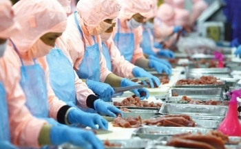 Thu hút đầu tư kiều bào: Nhiều triển vọng