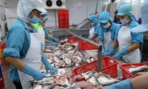 Công Thương qua góc nhìn báo chí ngày 2/5: Điểm nhấn xuất nhập khẩu và năng lượng