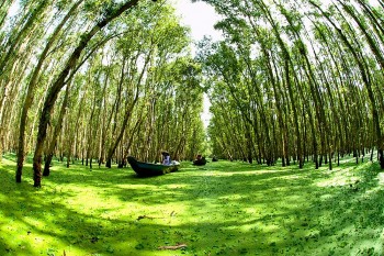 Sắp diễn ra Triển lãm ảnh “Đồng bằng sông Cửu Long – Khát vọng phát triển”