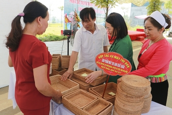 Hỗ trợ phụ nữ khởi nghiệp: Góp phần thực hiện chiến lược quốc gia về bình đẳng giới
