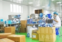 Lưu ý khi xuất khẩu khẩu trang, đồ bảo hộ y tế vào EU