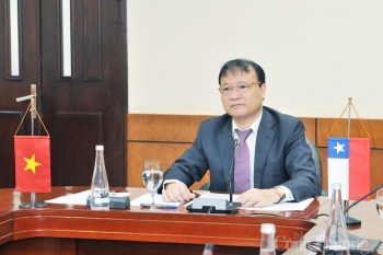 Việt Nam - Chile: Tăng cường trao đổi thương mại bất chấp đại dịch