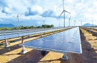 WB và GIF hỗ trợ Việt Nam trong chương trình thí điểm đấu giá điện mặt trời